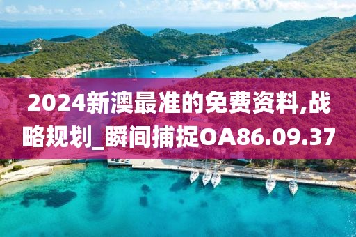 2024新澳最准的免费资料,战略规划_瞬间捕捉OA86.09.37