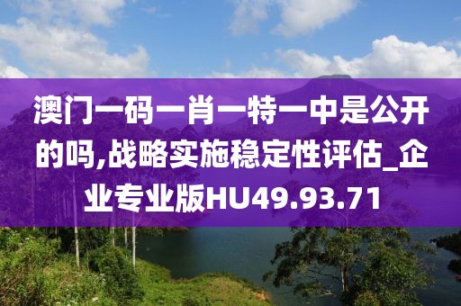 澳门一码一肖一特一中是公开的吗,战略实施稳定性评估_企业专业版HU49.93.71