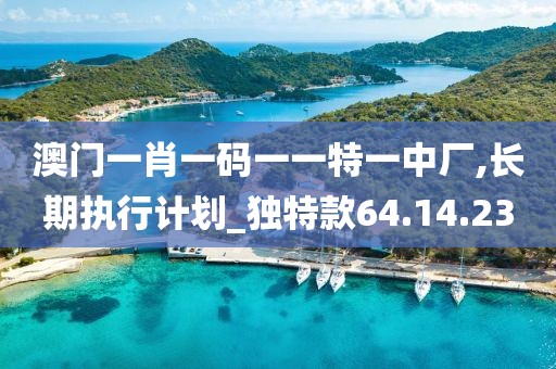 澳门一肖一码一一特一中厂,长期执行计划_独特款64.14.23