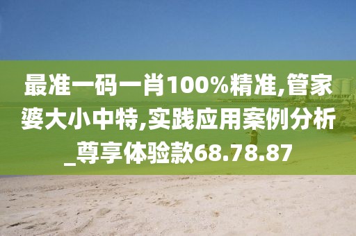 最准一码一肖100%精准,管家婆大小中特,实践应用案例分析_尊享体验款68.78.87