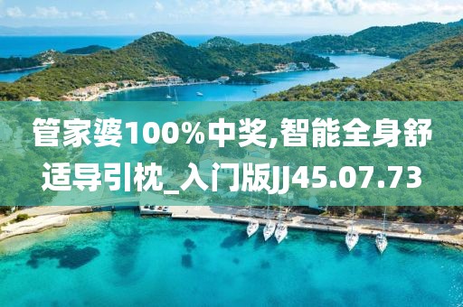 管家婆100%中奖,智能全身舒适导引枕_入门版JJ45.07.73