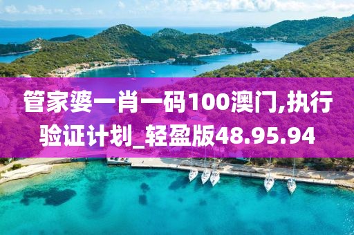 管家婆一肖一码100澳门,执行验证计划_轻盈版48.95.94