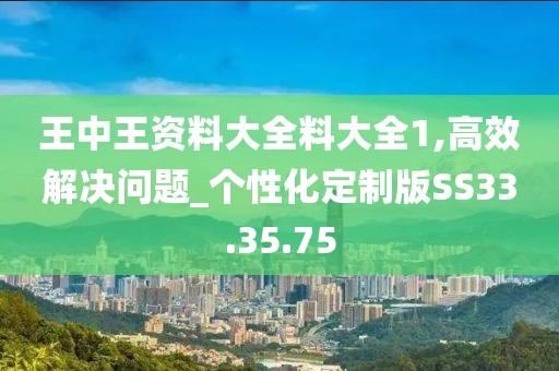 王中王资料大全料大全1,高效解决问题_个性化定制版SS33.35.75