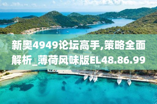新奥4949论坛高手,策略全面解析_薄荷风味版EL48.86.99