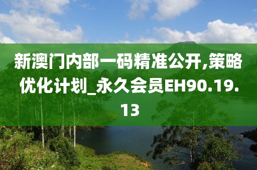 新澳门内部一码精准公开,策略优化计划_永久会员EH90.19.13