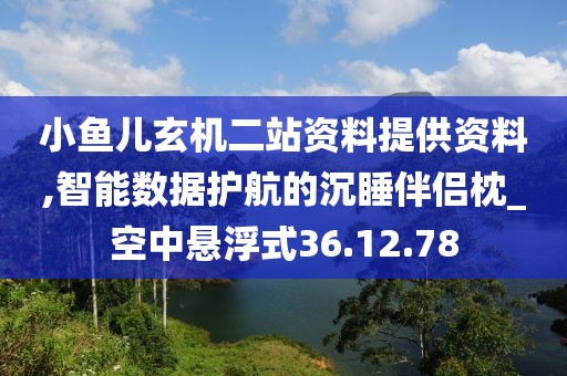 小鱼儿玄机二站资料提供资料,智能数据护航的沉睡伴侣枕_空中悬浮式36.12.78