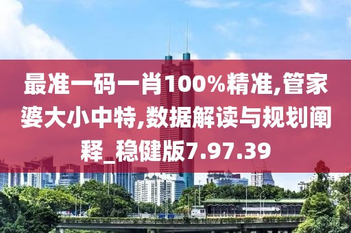 最准一码一肖100%精准,管家婆大小中特,数据解读与规划阐释_稳健版7.97.39