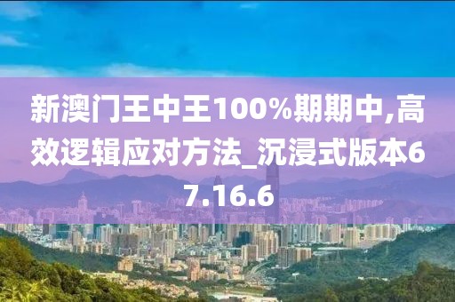 新澳门王中王100%期期中,高效逻辑应对方法_沉浸式版本67.16.6