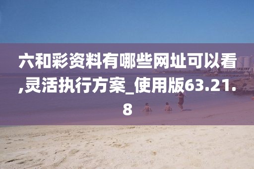 六和彩资料有哪些网址可以看,灵活执行方案_使用版63.21.8