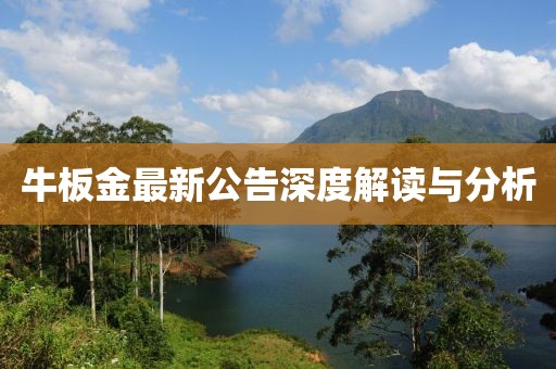 牛板金最新公告深度解读与分析