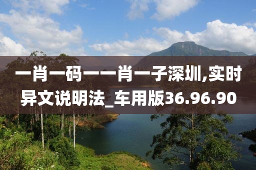 一肖一码一一肖一子深圳,实时异文说明法_车用版36.96.90