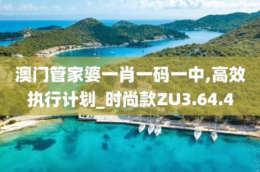 澳门管家婆一肖一码一中,高效执行计划_时尚款ZU3.64.4