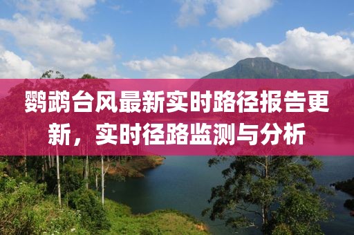 鹦鹉台风最新实时路径报告更新，实时径路监测与分析