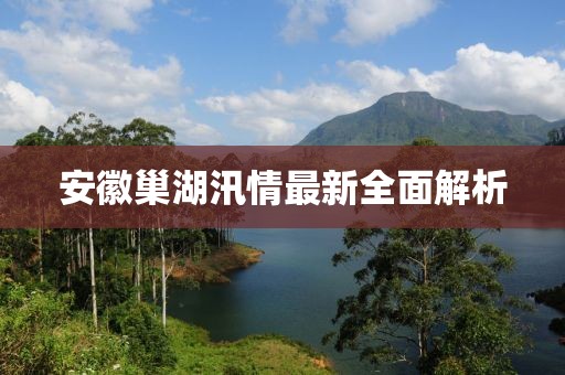 安徽巢湖汛情最新全面解析