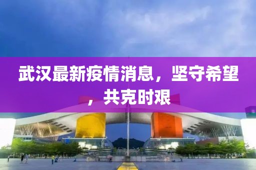 武汉最新疫情消息，坚守希望，共克时艰