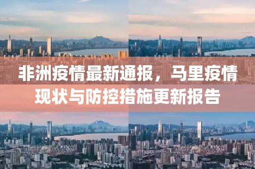 非洲疫情最新通报，马里疫情现状与防控措施更新报告