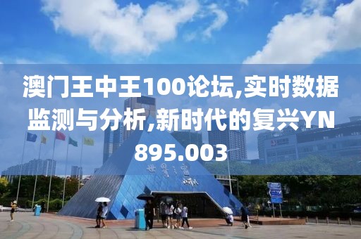 澳门王中王100论坛,实时数据监测与分析,新时代的复兴YN895.003