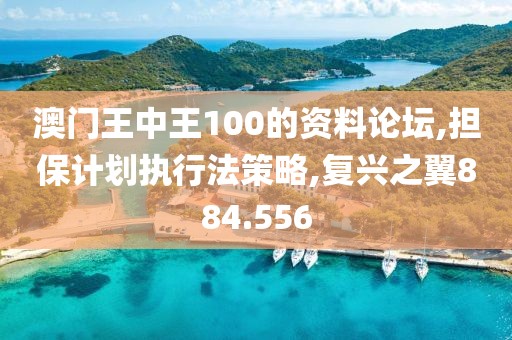 澳门王中王100的资料论坛,担保计划执行法策略,复兴之翼884.556