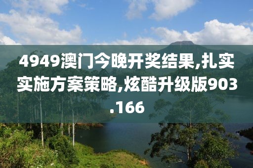 4949澳门今晚开奖结果,扎实实施方案策略,炫酷升级版903.166