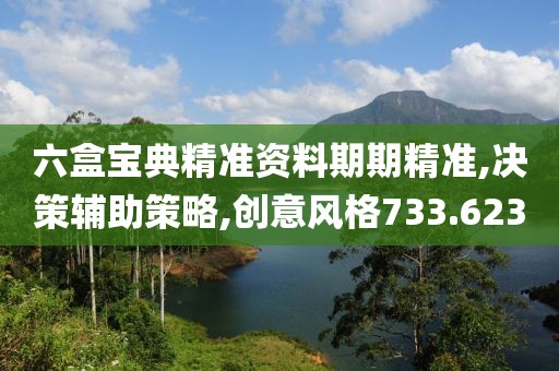 六盒宝典精准资料期期精准,决策辅助策略,创意风格733.623