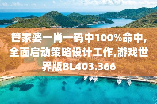 管家婆一肖一码中100%命中,全面启动策略设计工作,游戏世界版BL403.366