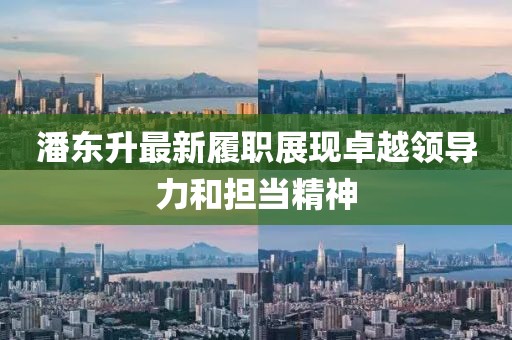 潘东升最新履职展现卓越领导力和担当精神