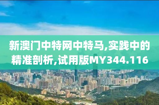 新澳门中特网中特马,实践中的精准剖析,试用版MY344.116