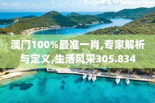 澳门100%最准一肖,专家解析与定义,生活风采305.834