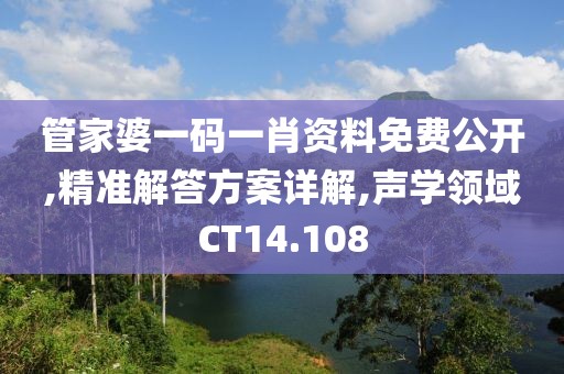管家婆一码一肖资料免费公开,精准解答方案详解,声学领域CT14.108