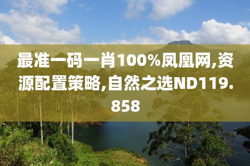 最准一码一肖100%凤凰网,资源配置策略,自然之选ND119.858
