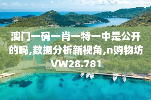 澳门一码一肖一特一中是公开的吗,数据分析新视角,n购物坊VW28.781