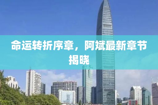 命运转折序章，阿斌最新章节揭晓