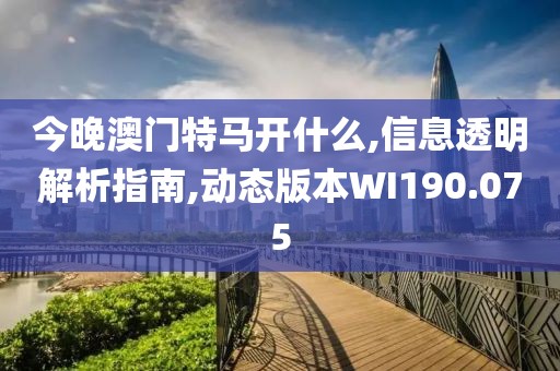 今晚澳门特马开什么,信息透明解析指南,动态版本WI190.075