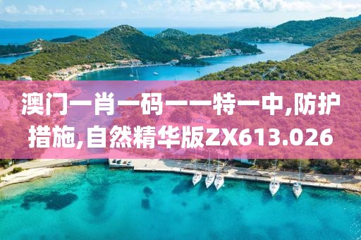 澳门一肖一码一一特一中,防护措施,自然精华版ZX613.026
