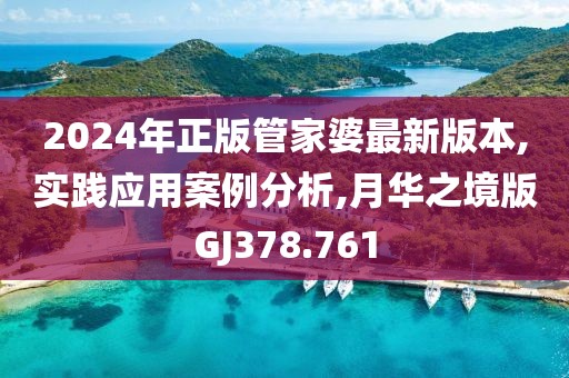2024年正版管家婆最新版本,实践应用案例分析,月华之境版GJ378.761