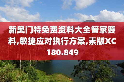 新奥门特免费资料大全管家婆料,敏捷应对执行方案,素版XC180.849