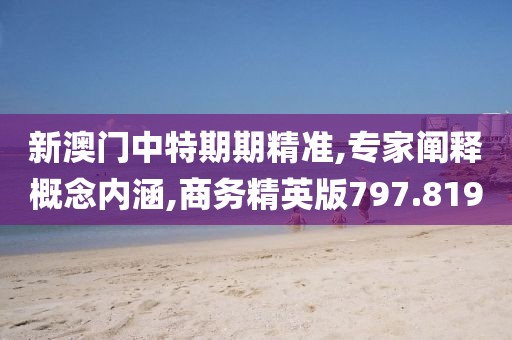 新澳门中特期期精准,专家阐释概念内涵,商务精英版797.819