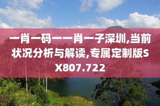一肖一码一一肖一子深圳,当前状况分析与解读,专属定制版SX807.722