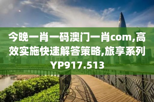今晚一肖一码澳门一肖com,高效实施快速解答策略,旅享系列YP917.513