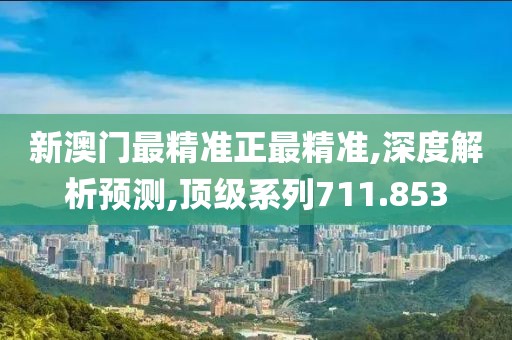 新澳门最精准正最精准,深度解析预测,顶级系列711.853