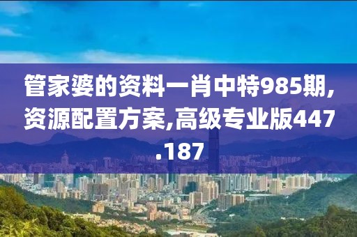 管家婆的资料一肖中特985期,资源配置方案,高级专业版447.187
