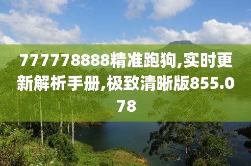 777778888精准跑狗,实时更新解析手册,极致清晰版855.078