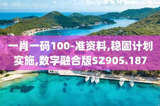 一肖一码100-准资料,稳固计划实施,数字融合版SZ905.187