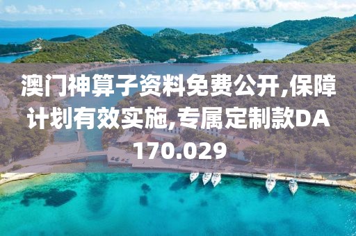 澳门神算子资料免费公开,保障计划有效实施,专属定制款DA170.029
