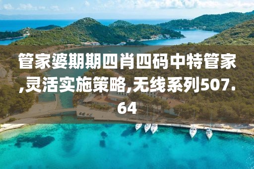 管家婆期期四肖四码中特管家,灵活实施策略,无线系列507.64
