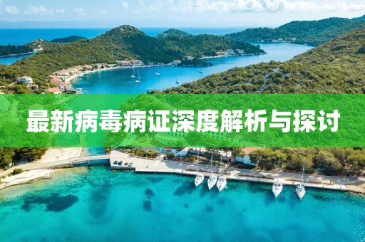 最新病毒病证深度解析与探讨