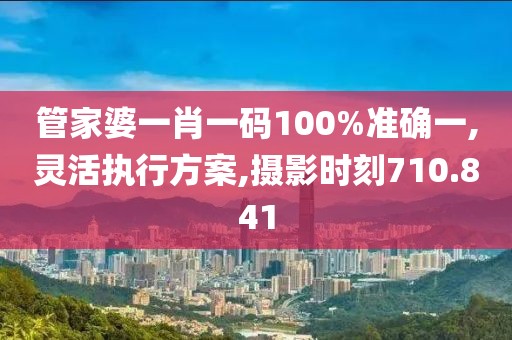 管家婆一肖一码100%准确一,灵活执行方案,摄影时刻710.841