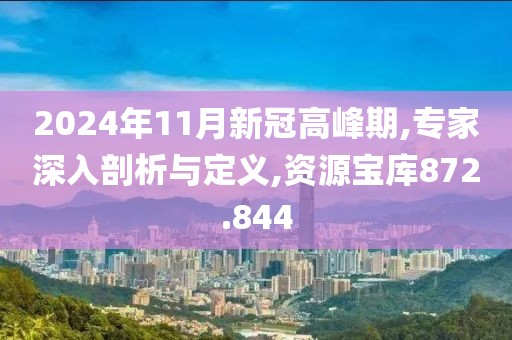 2024年11月新冠高峰期,专家深入剖析与定义,资源宝库872.844