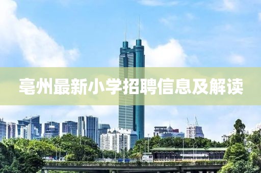 亳州最新小学招聘信息及解读