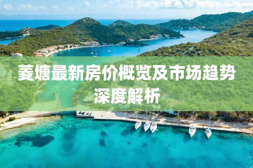 菱塘最新房价概览及市场趋势深度解析